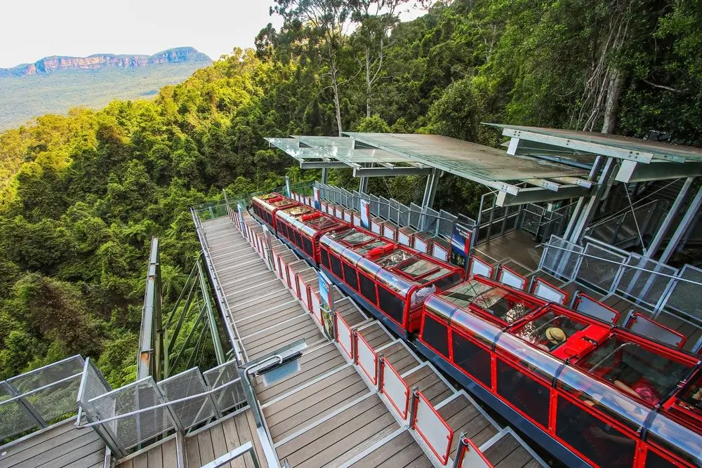 Wildlife Park & Blue Mountain Exploration