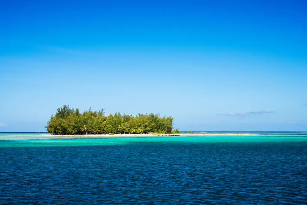 Lagoon Cruise & Motu Picnic